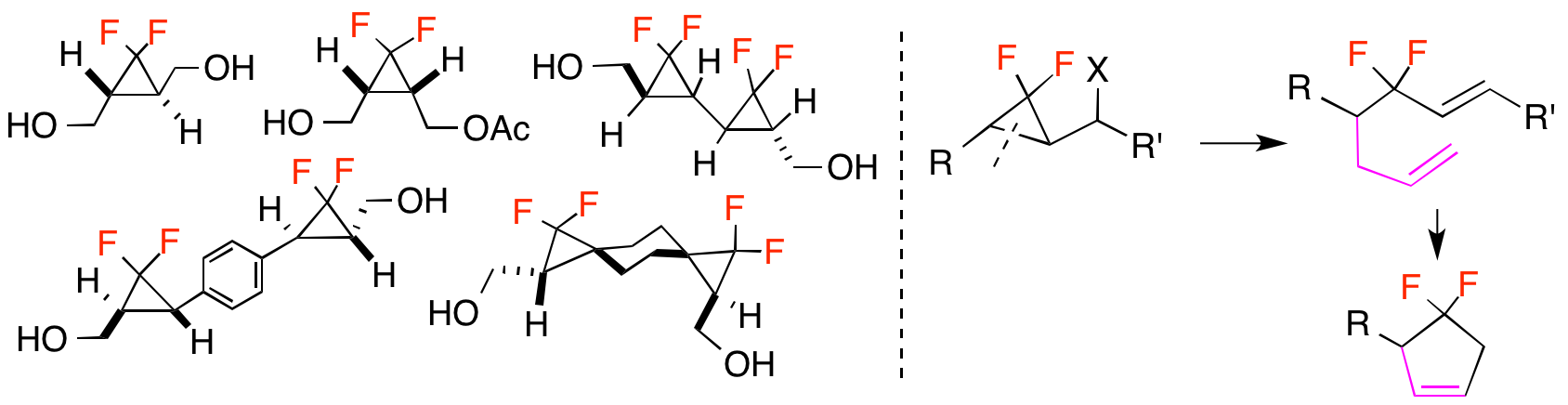 gem-ジフルオロシクロプロパン誘導体の合成、機能材料と医薬応用